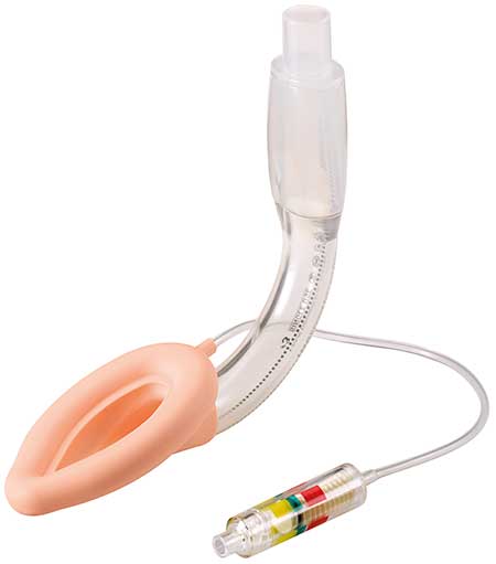 Image_LMA-Unique-EVO_size-3